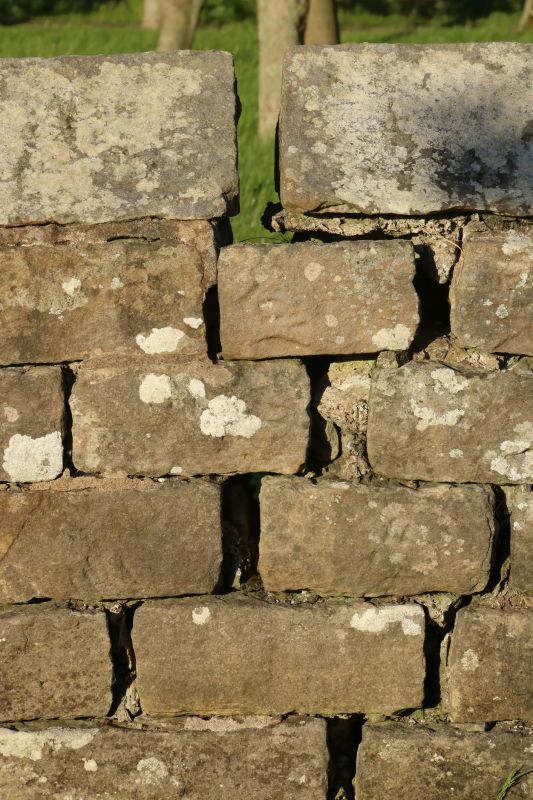 Stone Wall Repair