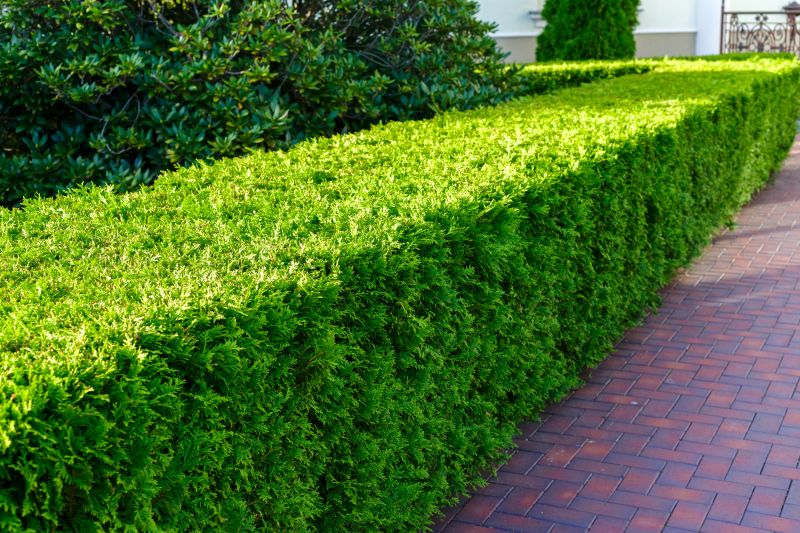 Brick Hardscape Installation